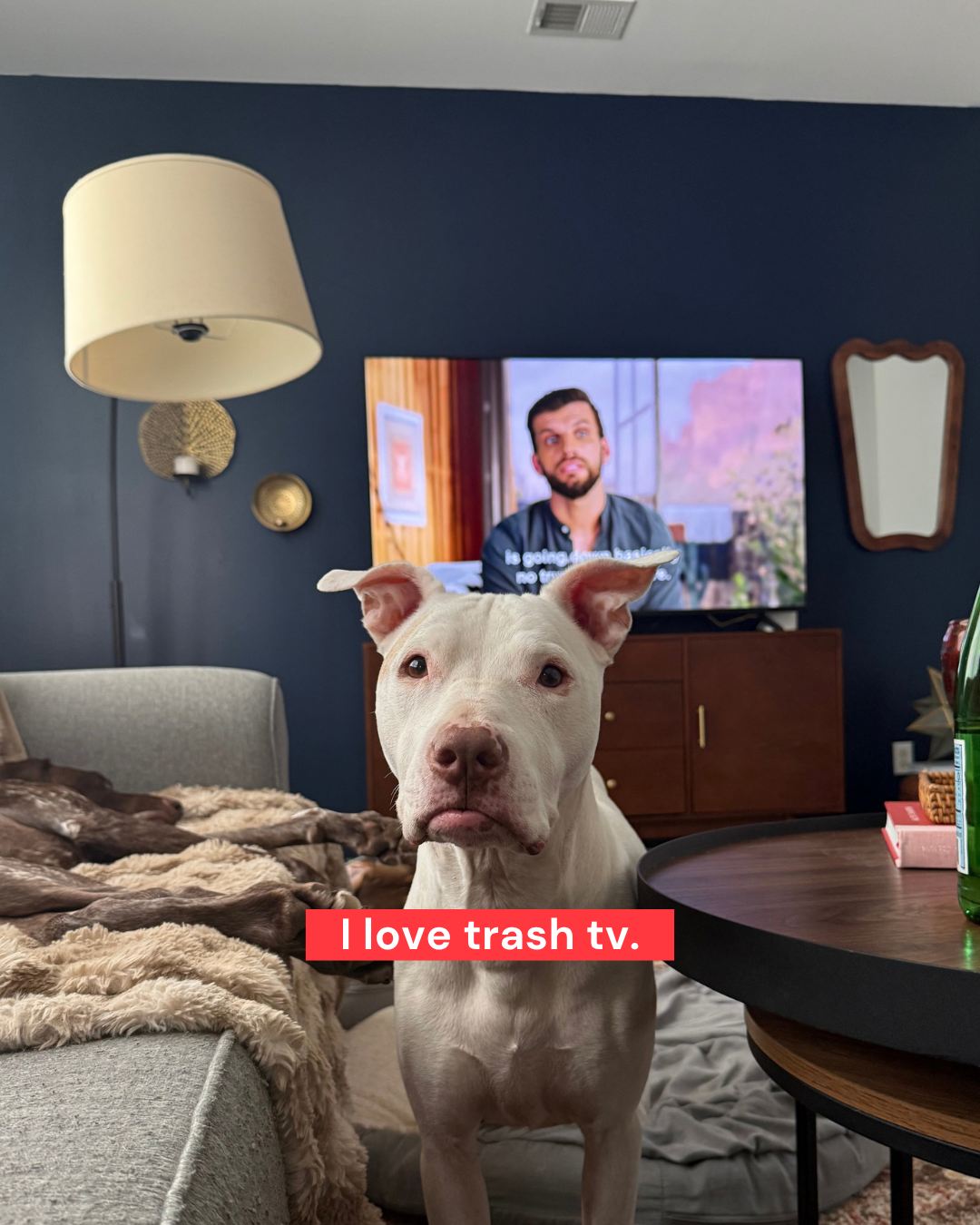 62.png
