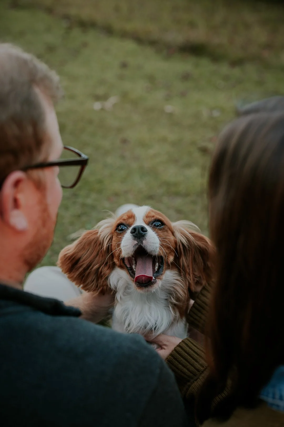 Murphy-1.jpg