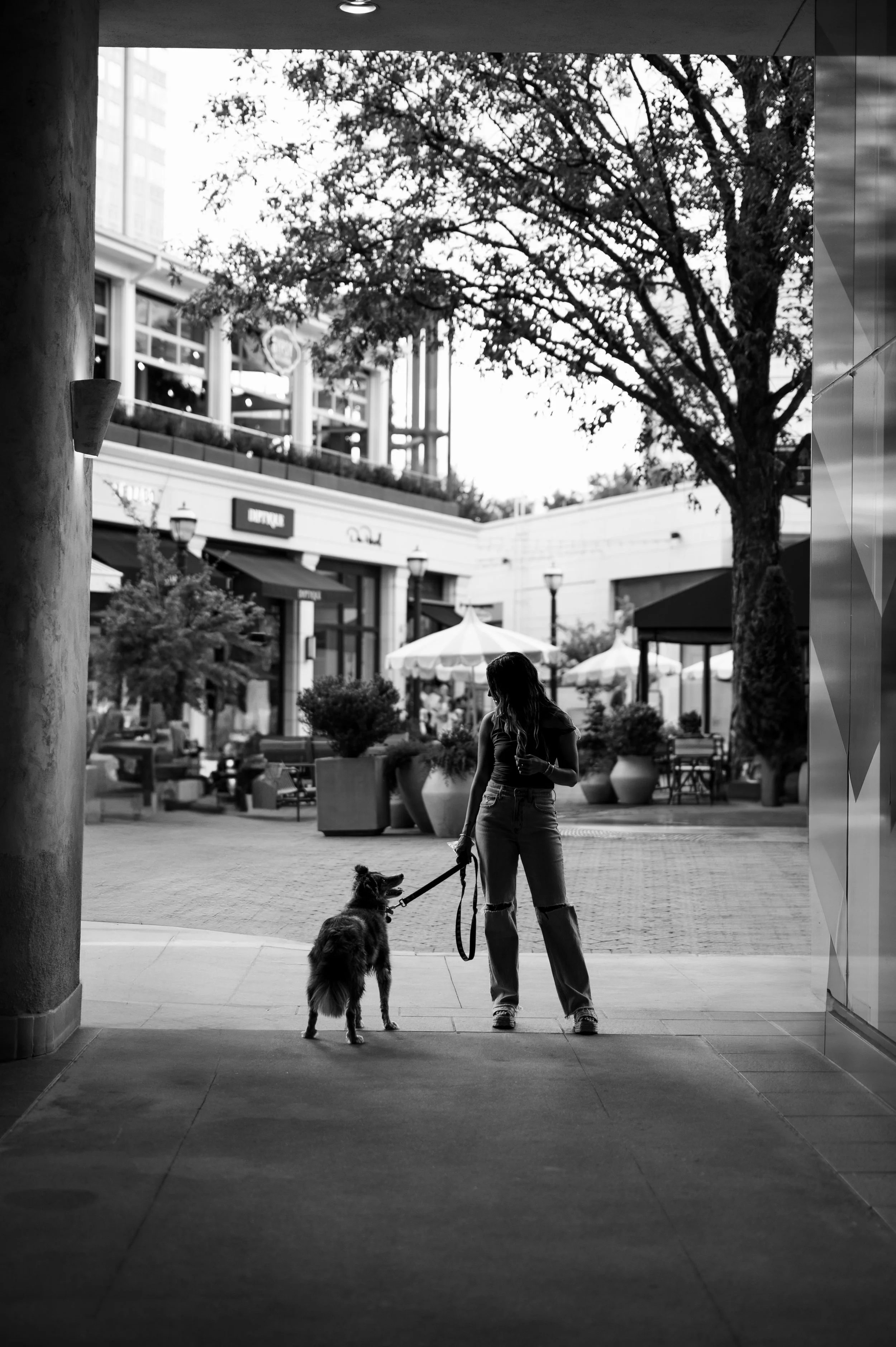 Black and white silhouette of woman and her dog in city setting.