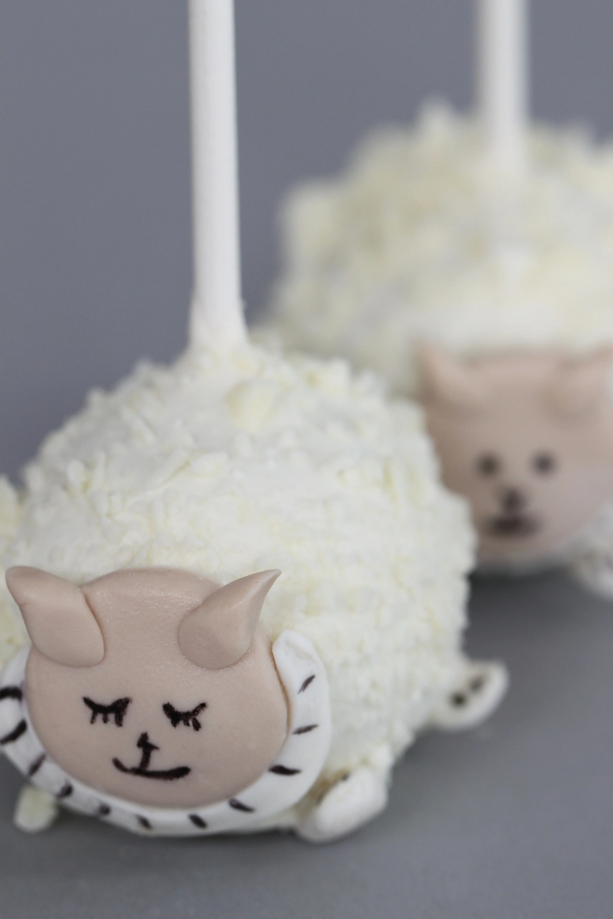 lamb pop 9401.jpg