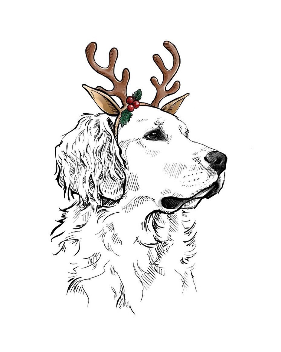 Would you like to send out holiday cards with Bentley wearing reindeer antlers AND donate to @fetch_and_releash? 💌🐶 Of course you would! 🙌🏼 Shop the holiday card pre-sale before it ends Wednesday at 11:59PM EST to guarantee yourself a pack of car