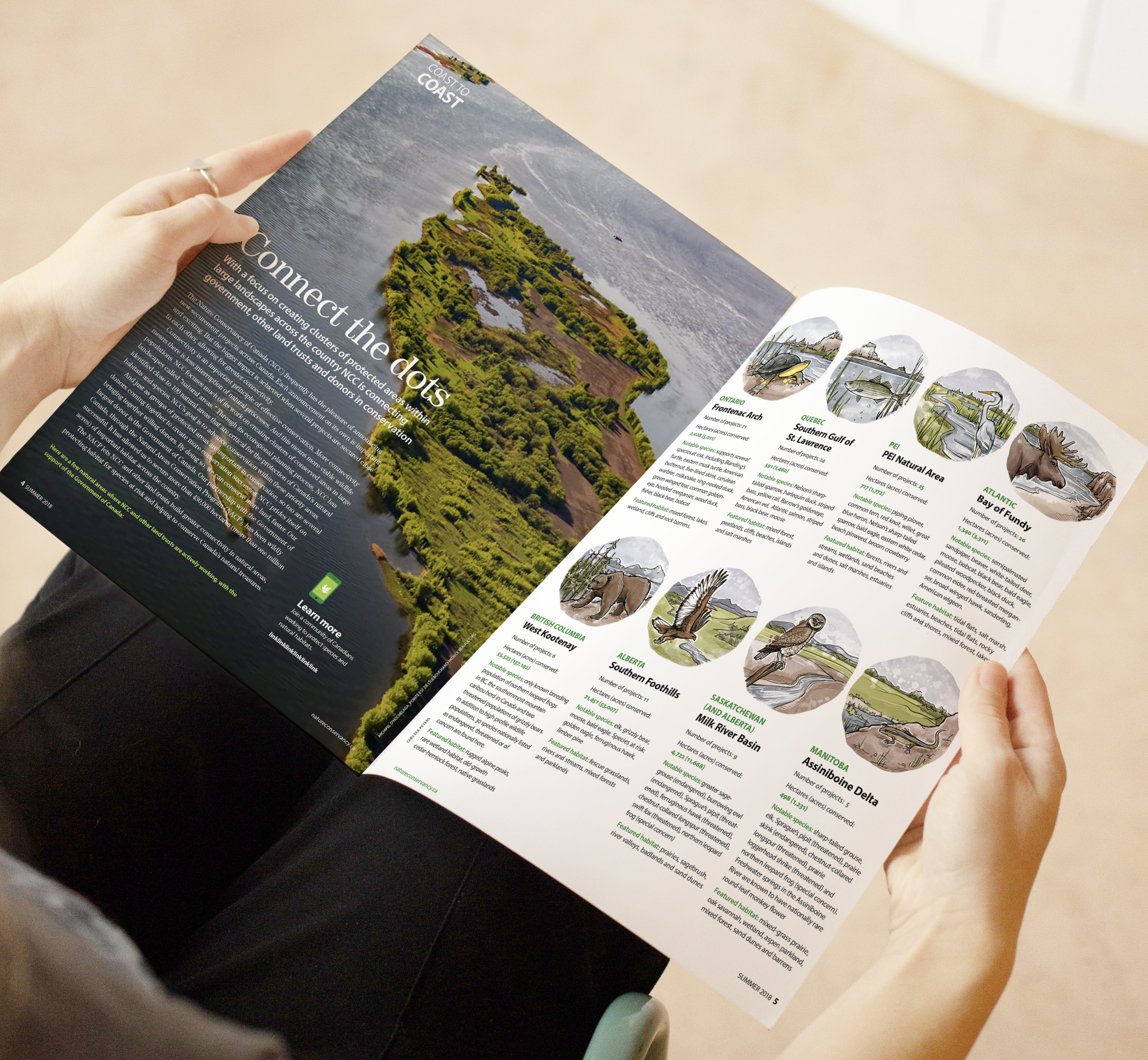 Screen Shot 2023-06-07 at 11.04.56 AM.png