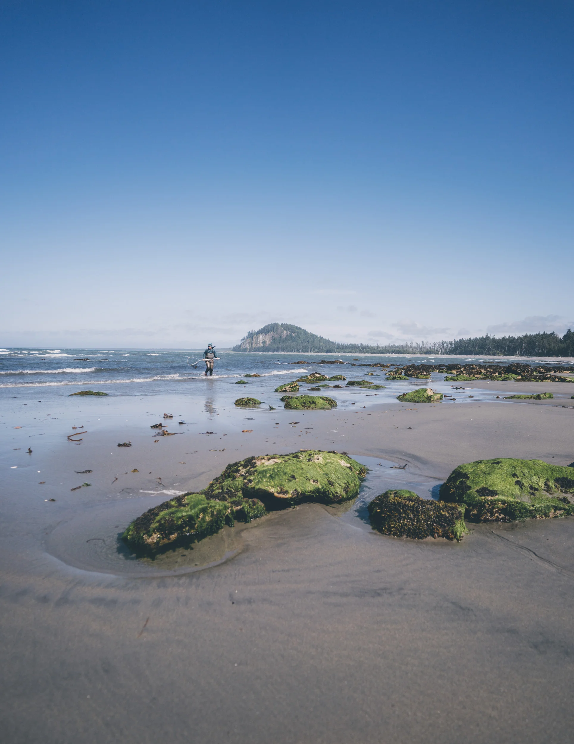 HaidaGwaii-JohnsonStudios-2018-157.jpg