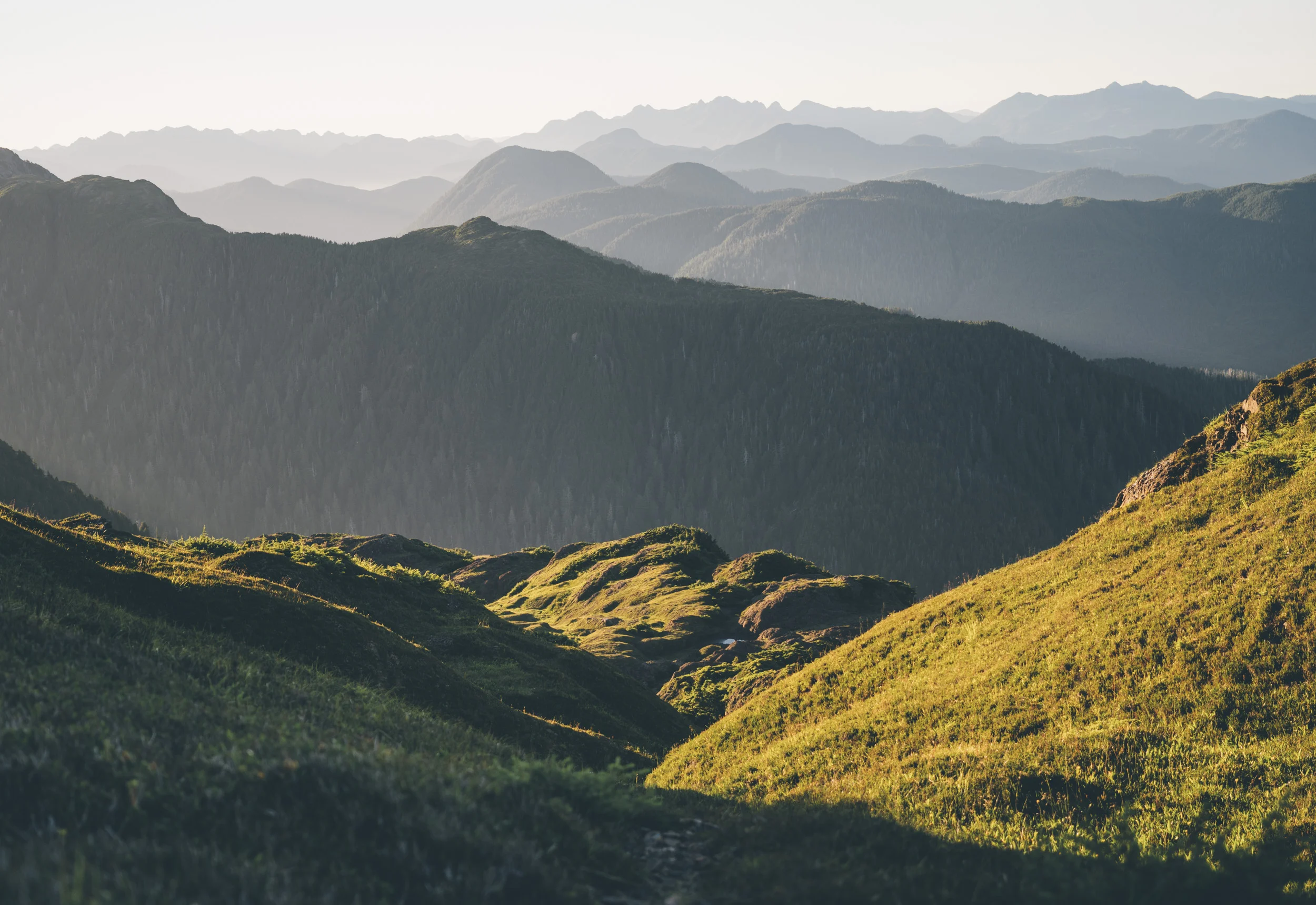 HaidaGwaii-JohnsonStudios-2018-418.jpg