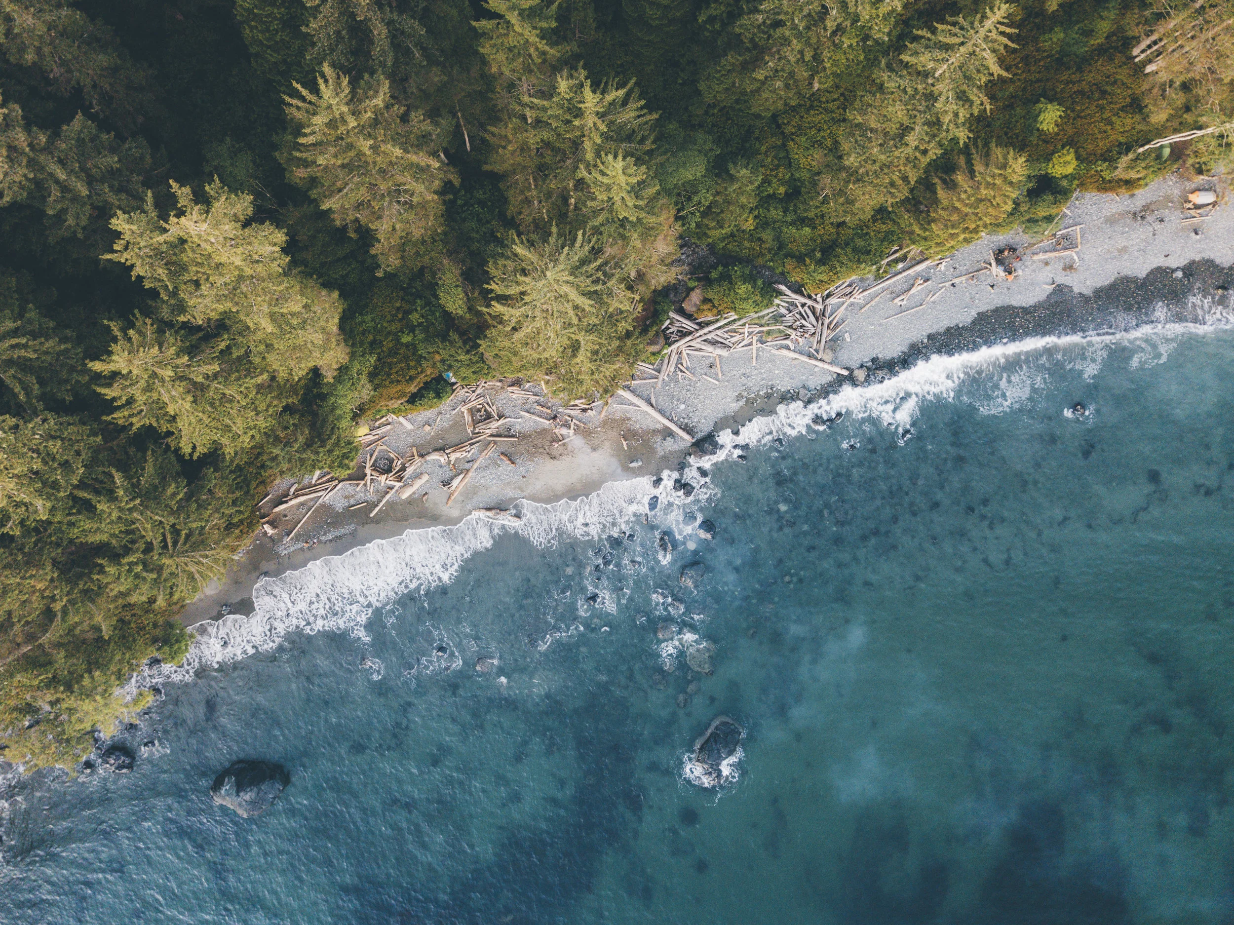 Bikepacking-VanIsland-JohnsonStudios-201806-212.jpg