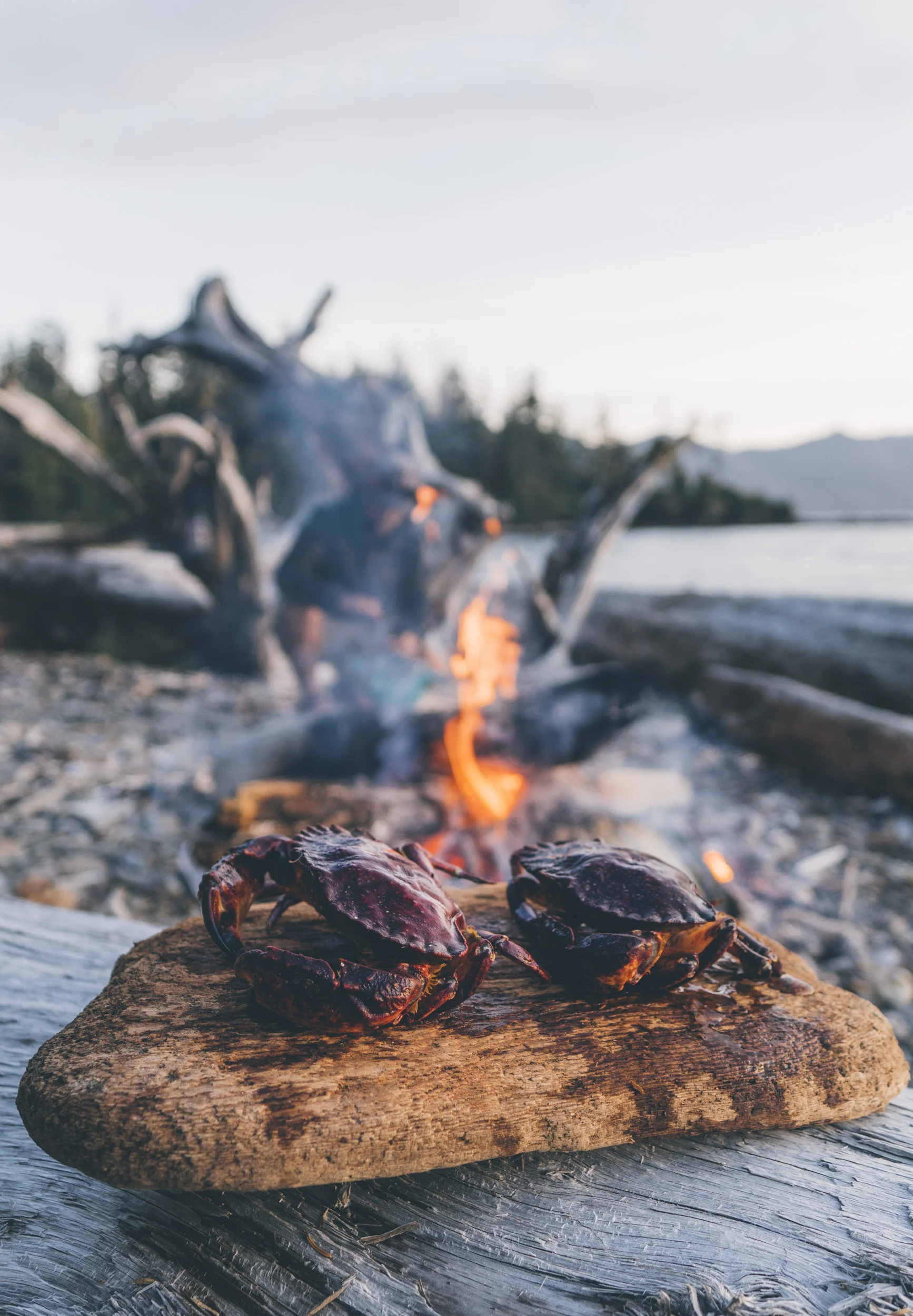 HaidaGwaii-JohnsonStudios-2018-270.jpg