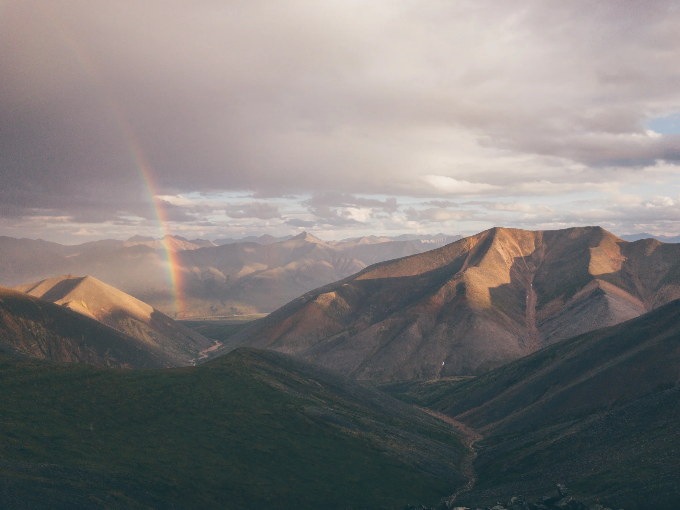 NWT-6.jpg