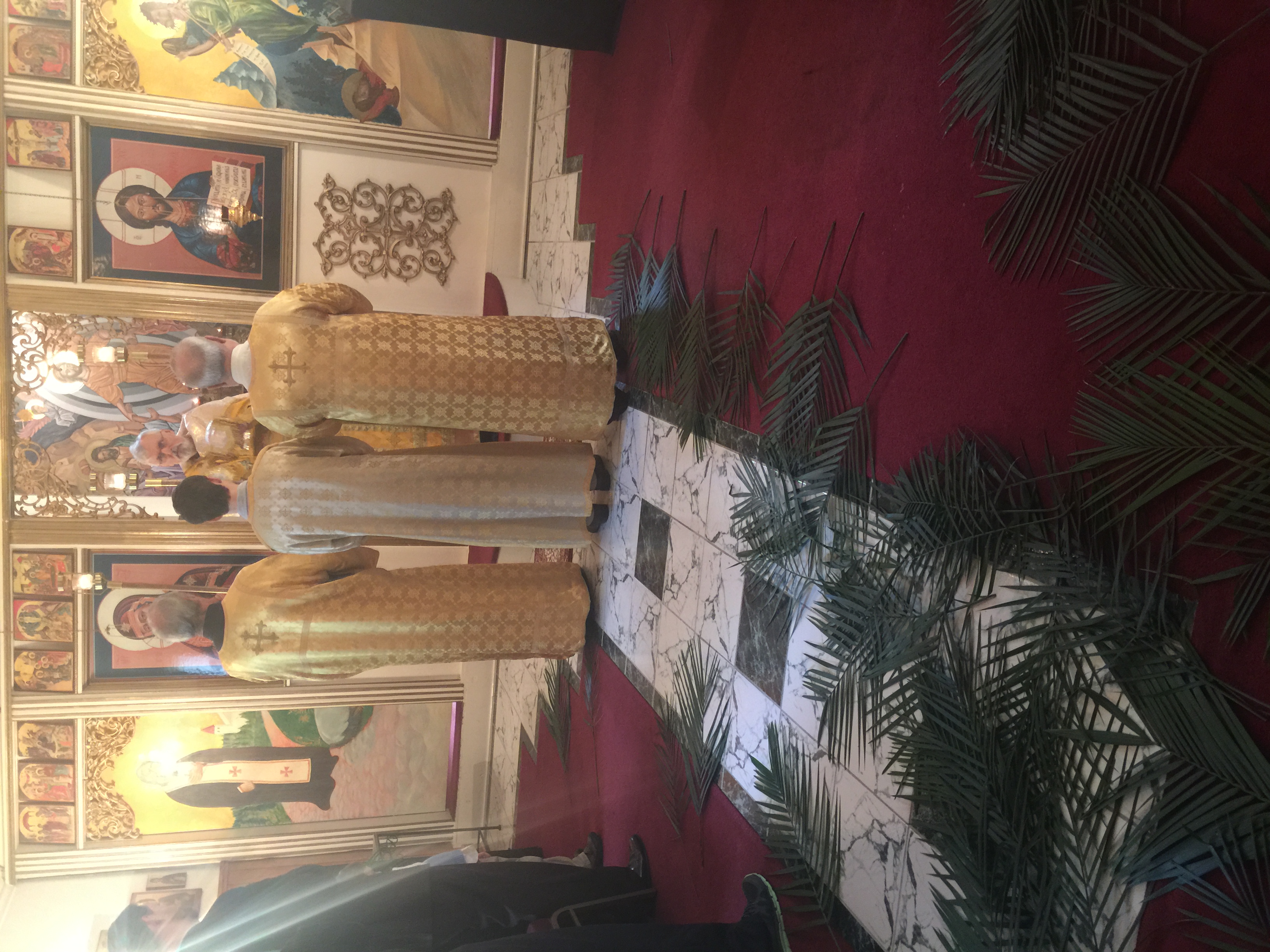 image9-1.jpeg