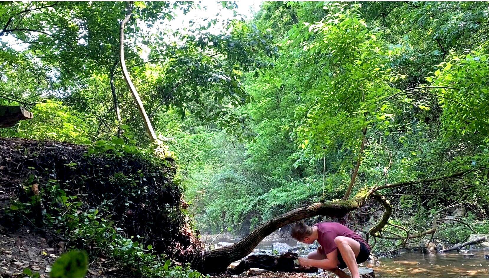 what is natural movement training-Structural Elements
