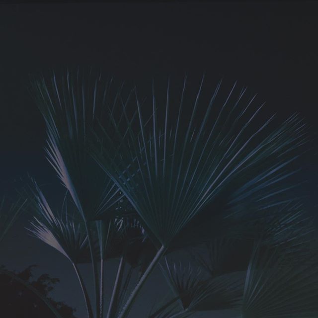Summer