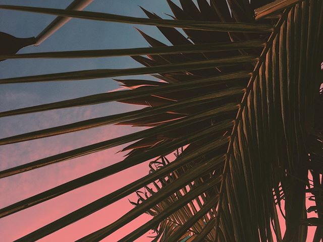 Dear summer, I feel you coming. Love always, Grecco.