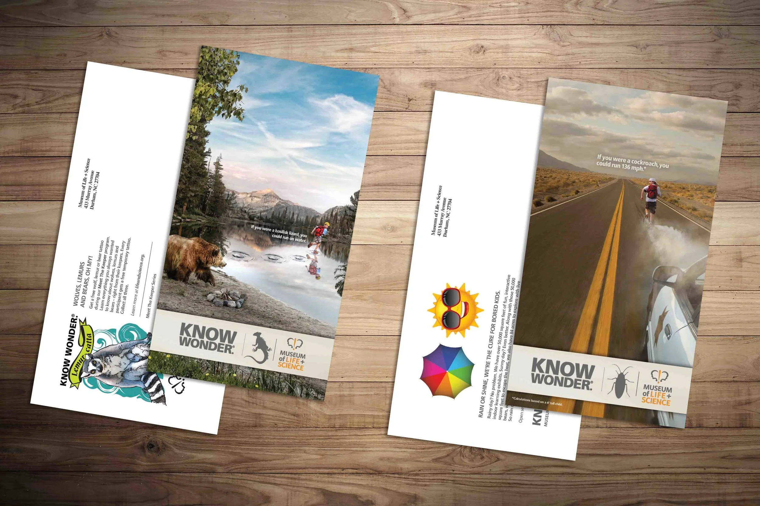 Direct Mail for The Museum of Life + Science. See the integrated campaign and case study here .