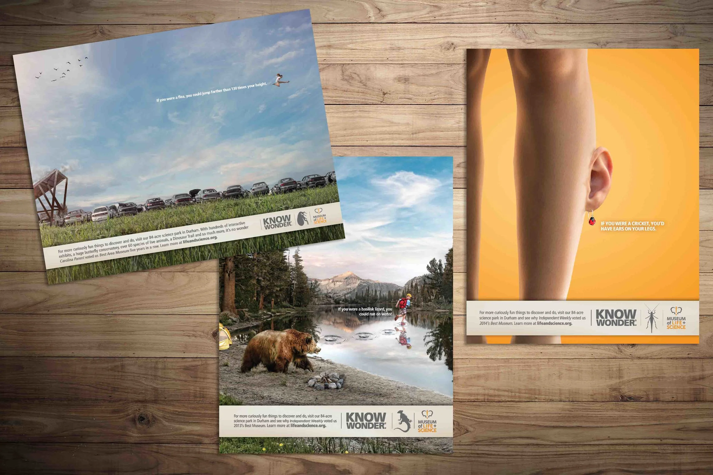 Integrated campaign for The Museum of Life + Science. See the rest of the case study here .