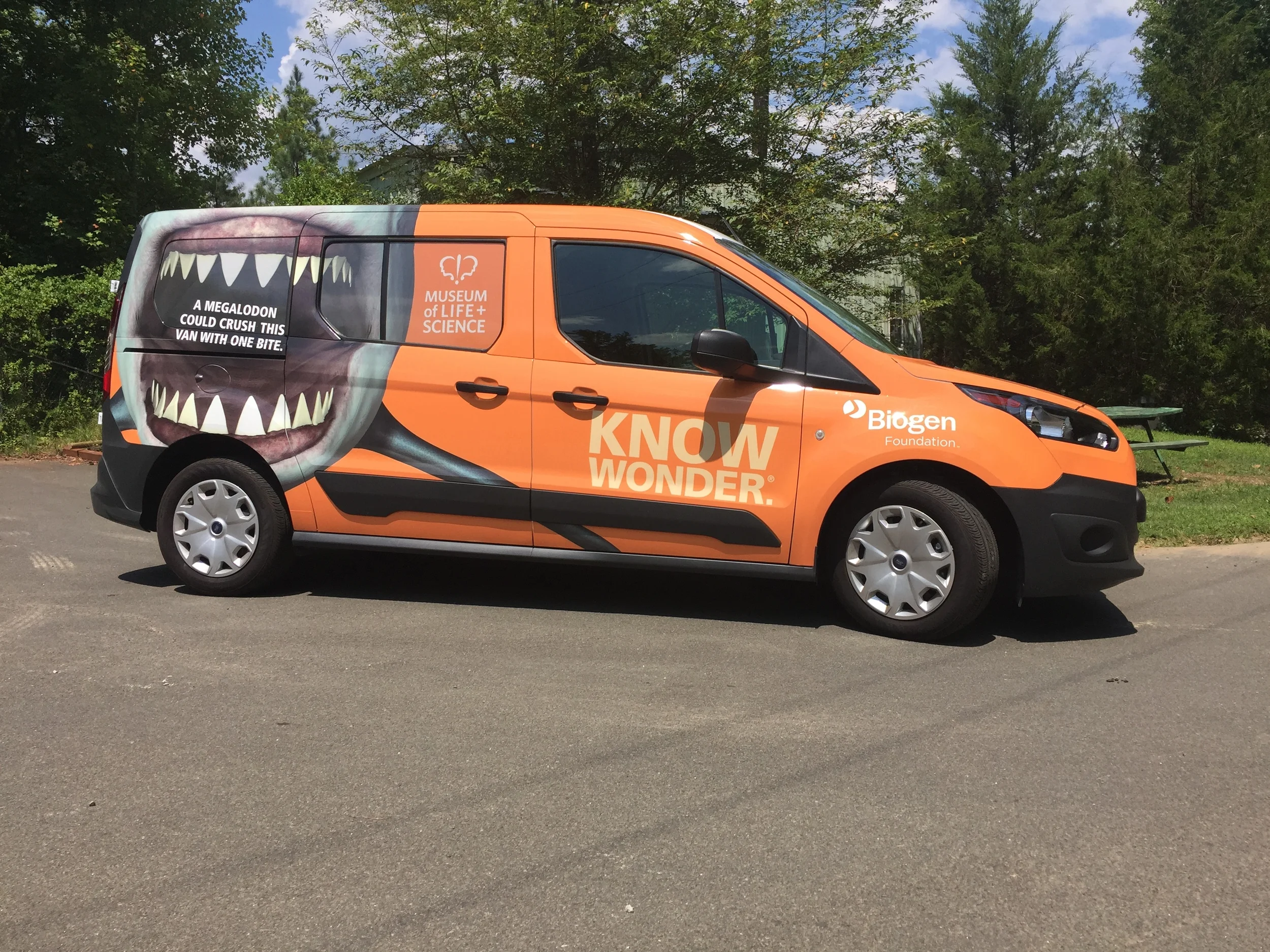 Vehicle Wrap