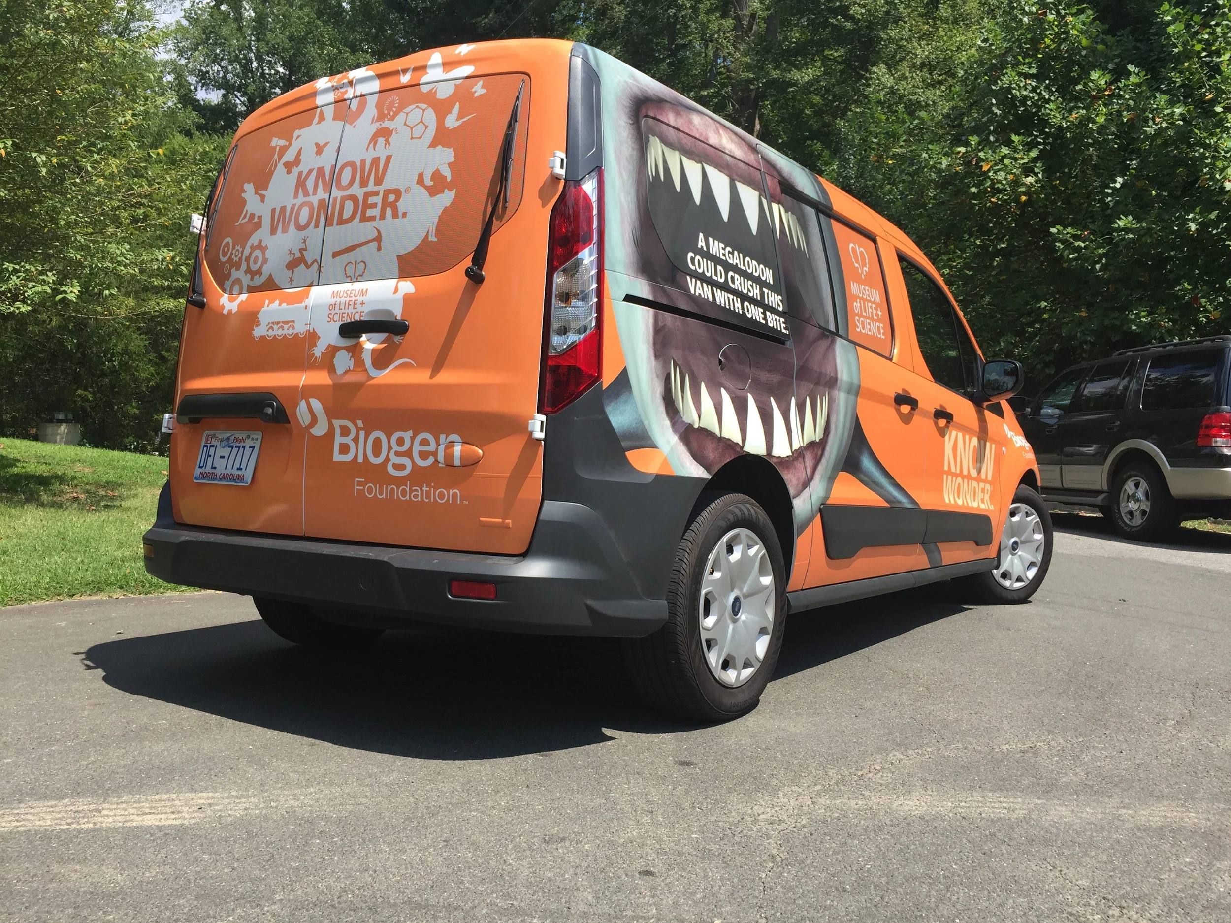 Vehicle Wrap
