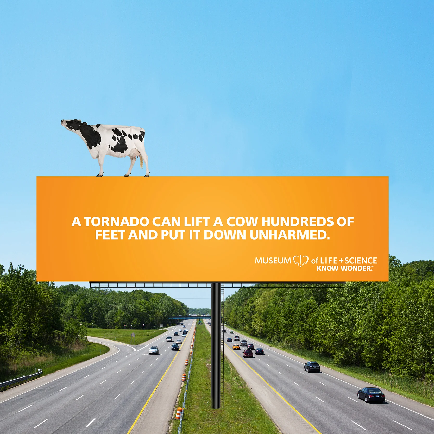 MUS.13.018.9---OOH-14-x-48-COW-COMP.jpg