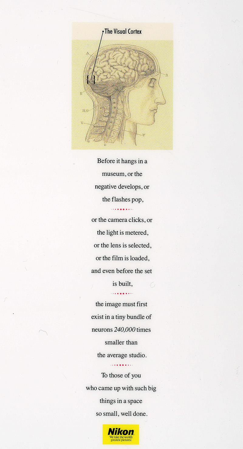 NikonVisualCortex.jpg