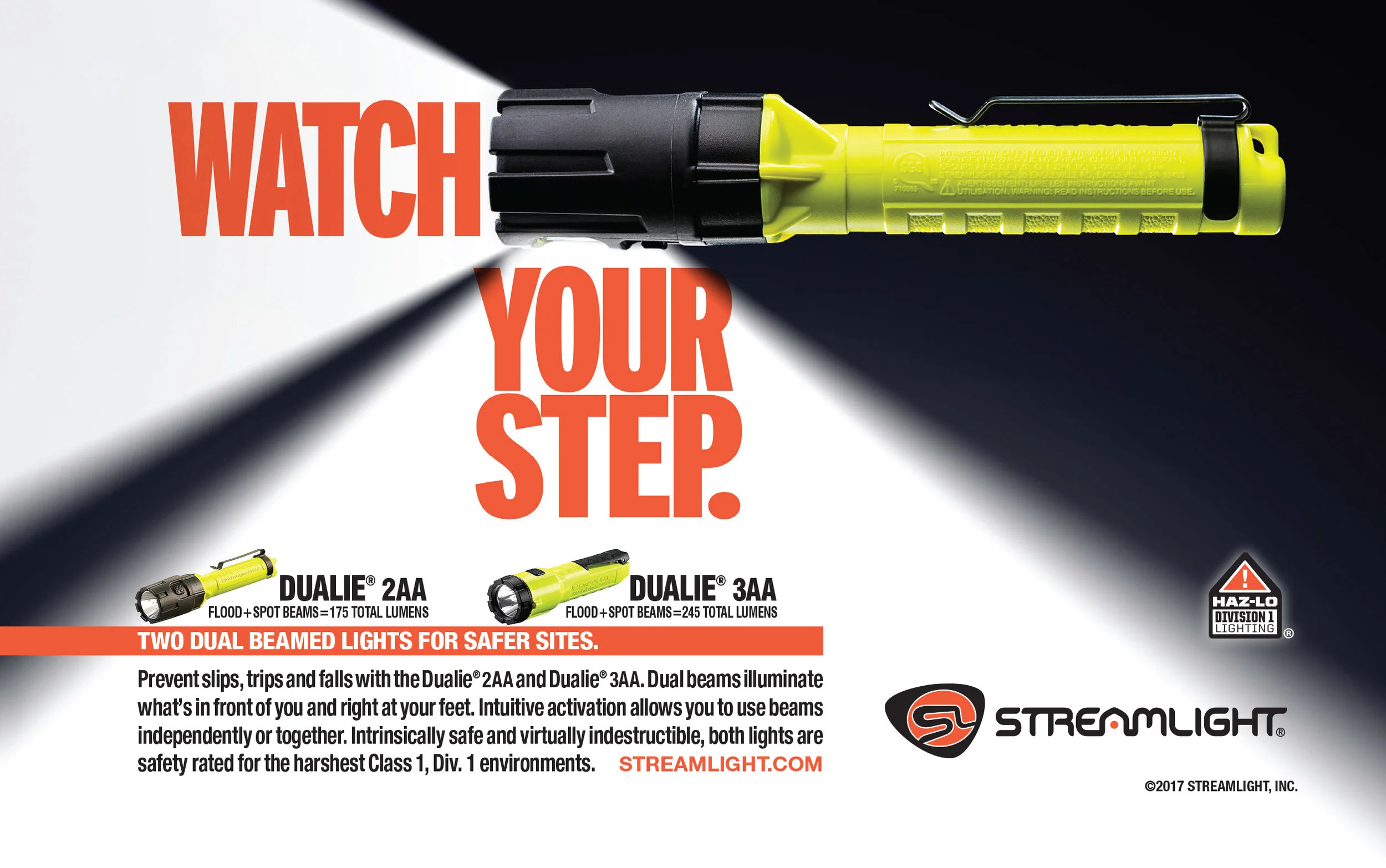 STR.16.106_DUALIE2AA+3AACombo_8.375x 5.25_S&H.jpg