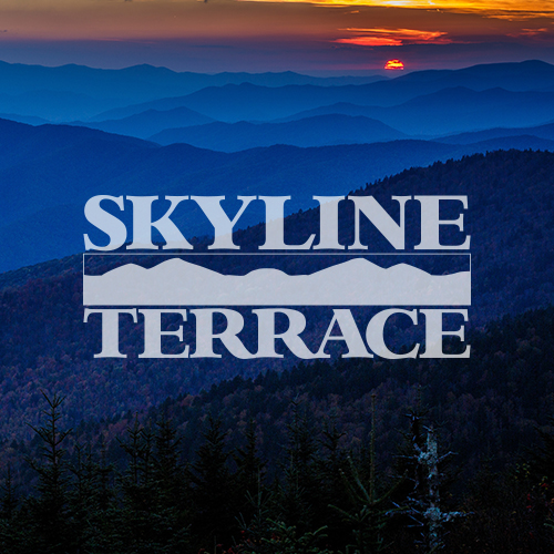 Skyline Terrace Integrated Ad Campaign