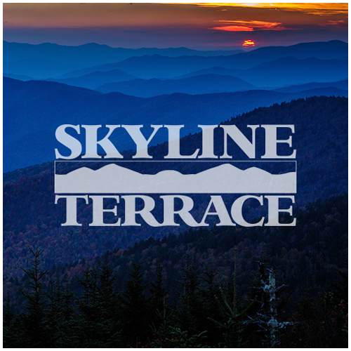 SkylineTerrace.png