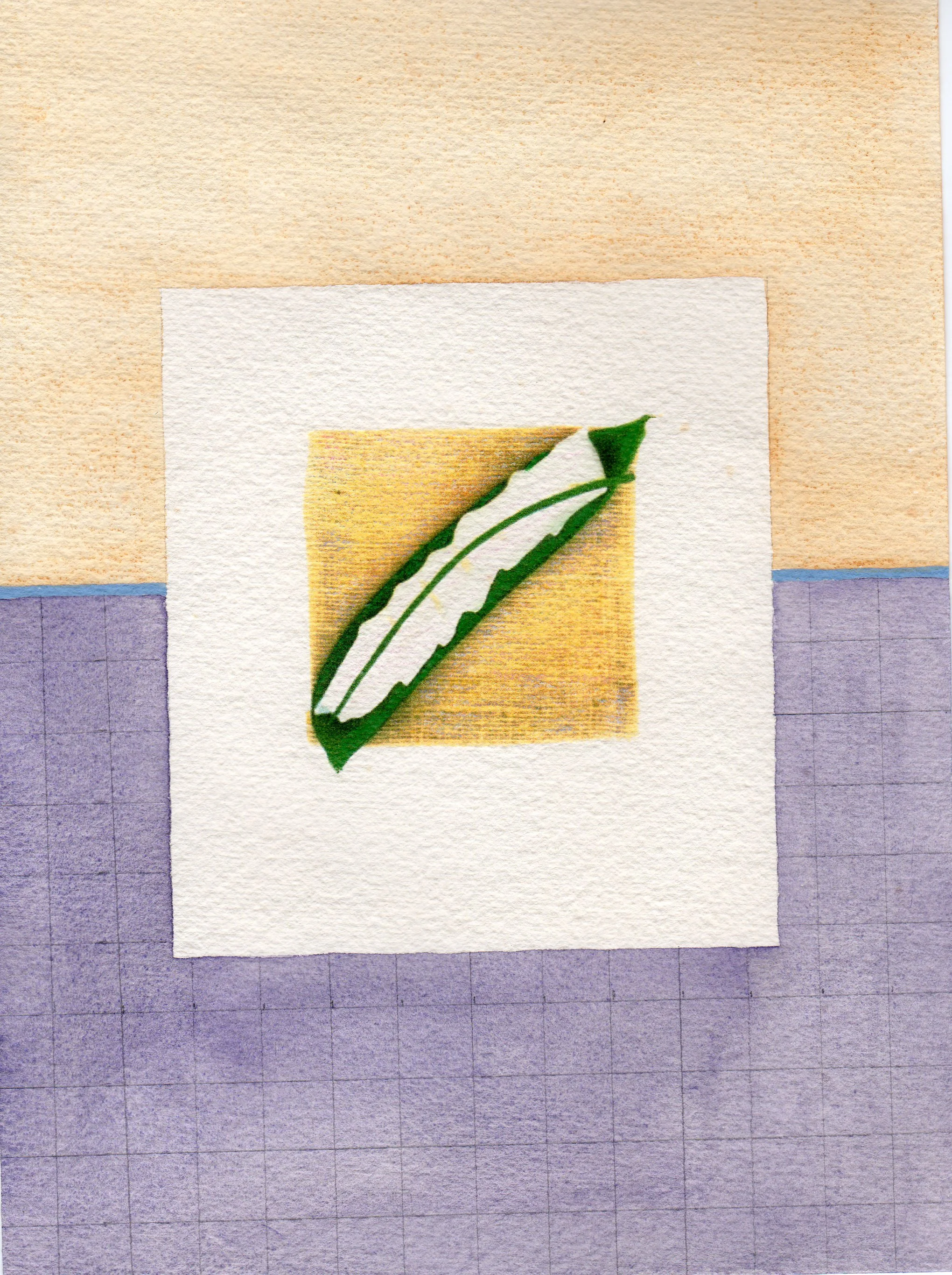 snowpea.jpg