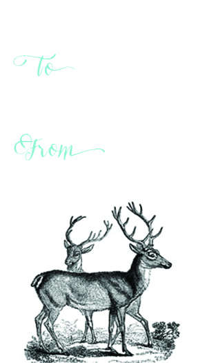 Reindeer To From