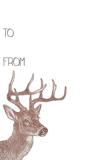 Reindeer Brown To From