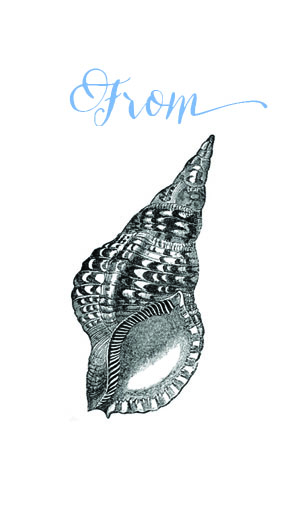 shell tag-from