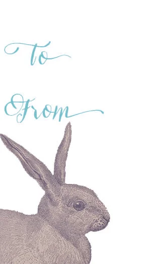 Bunny To From