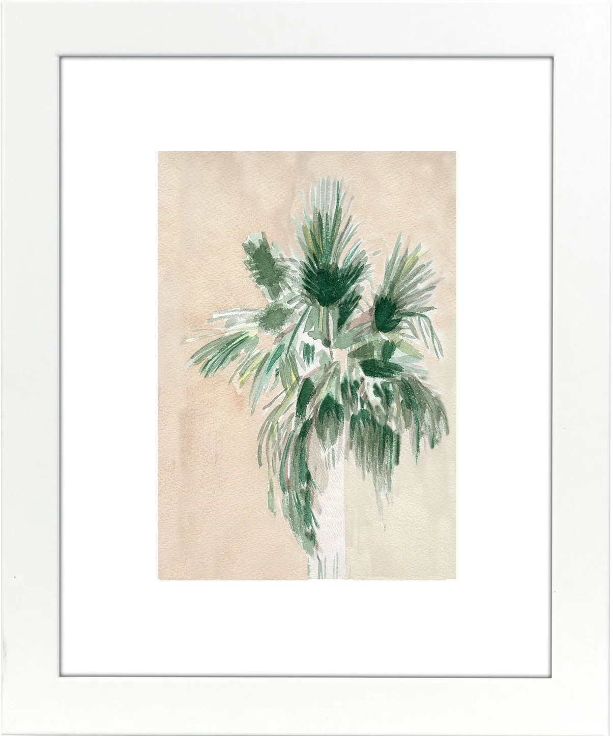 Palm Tree