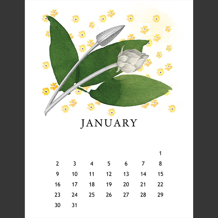 01 January 2022