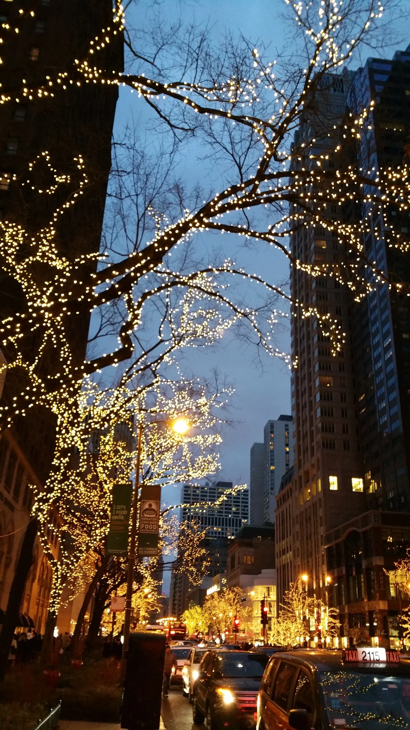The Magnificent Mile - HonoraryChicago