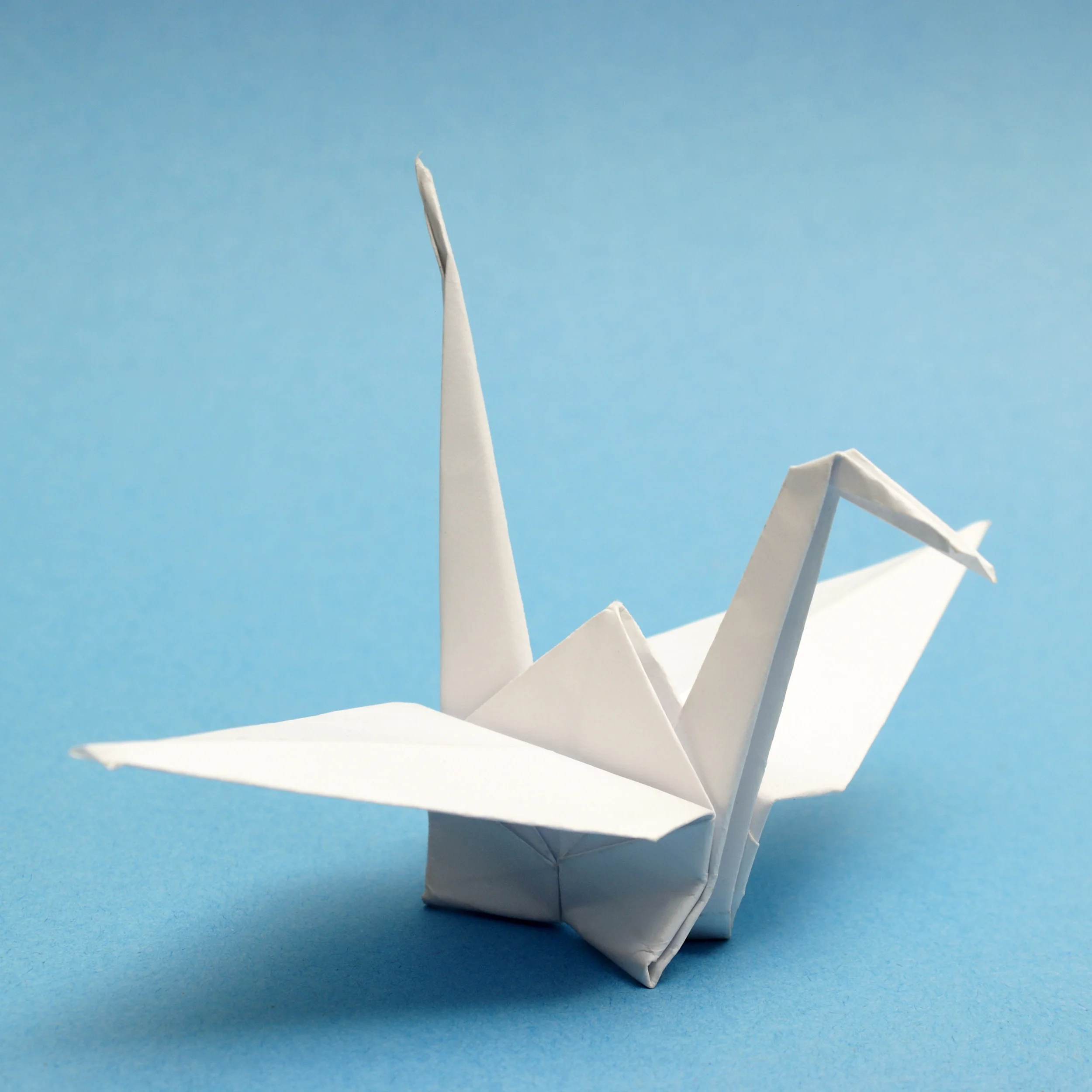 K9s for Veterans - Haiku