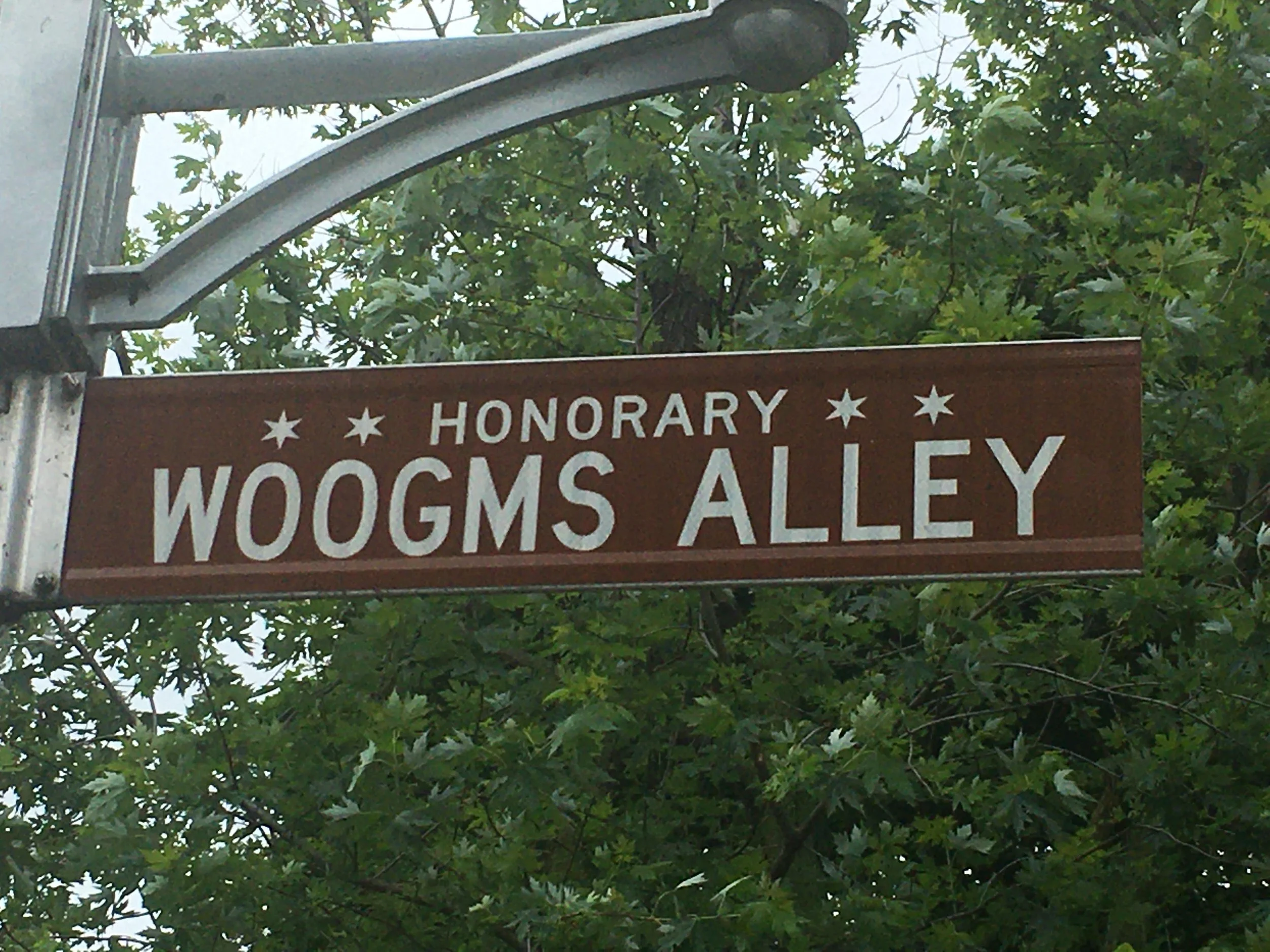 WOOGMS