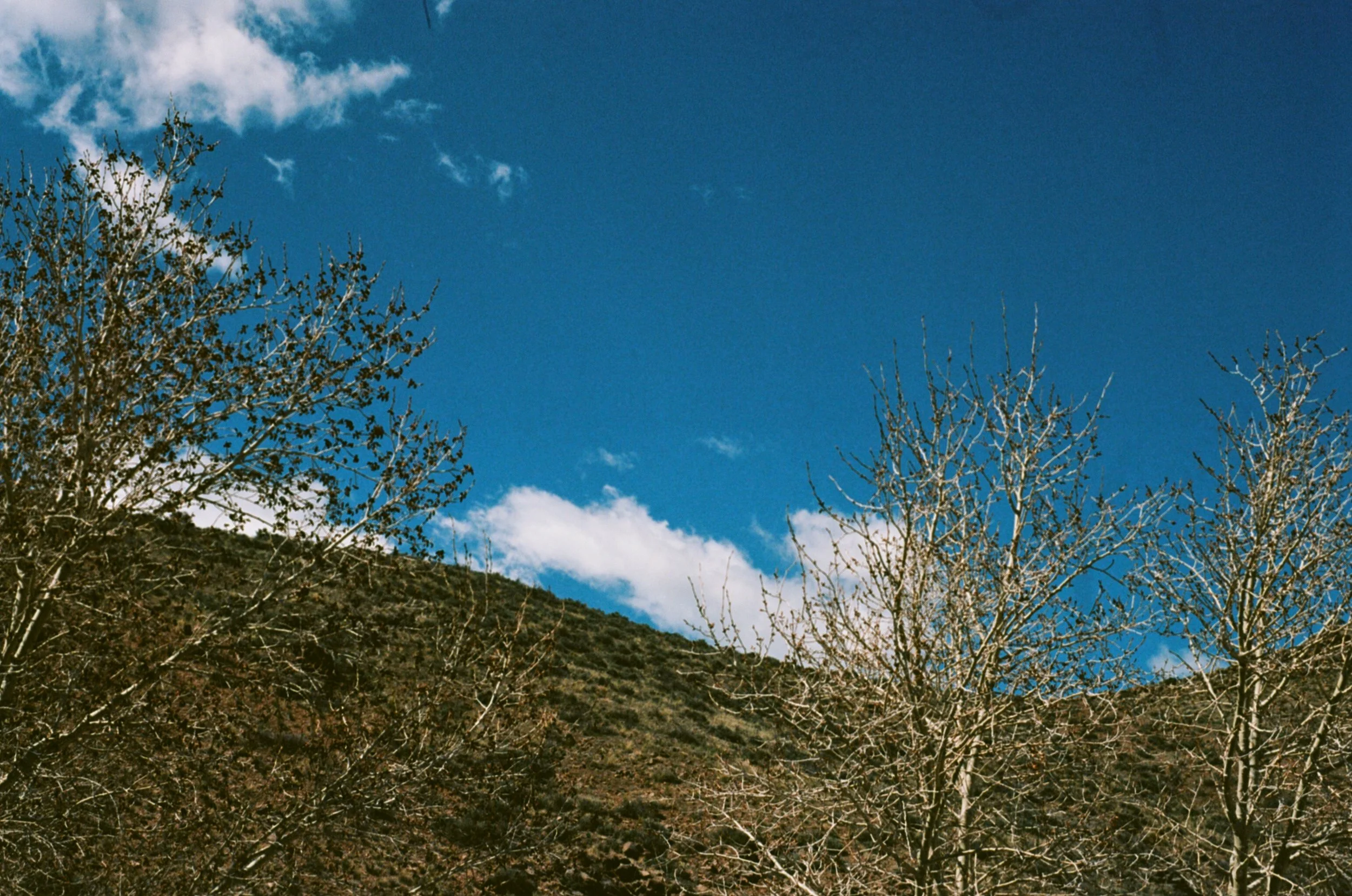 62470017.jpg