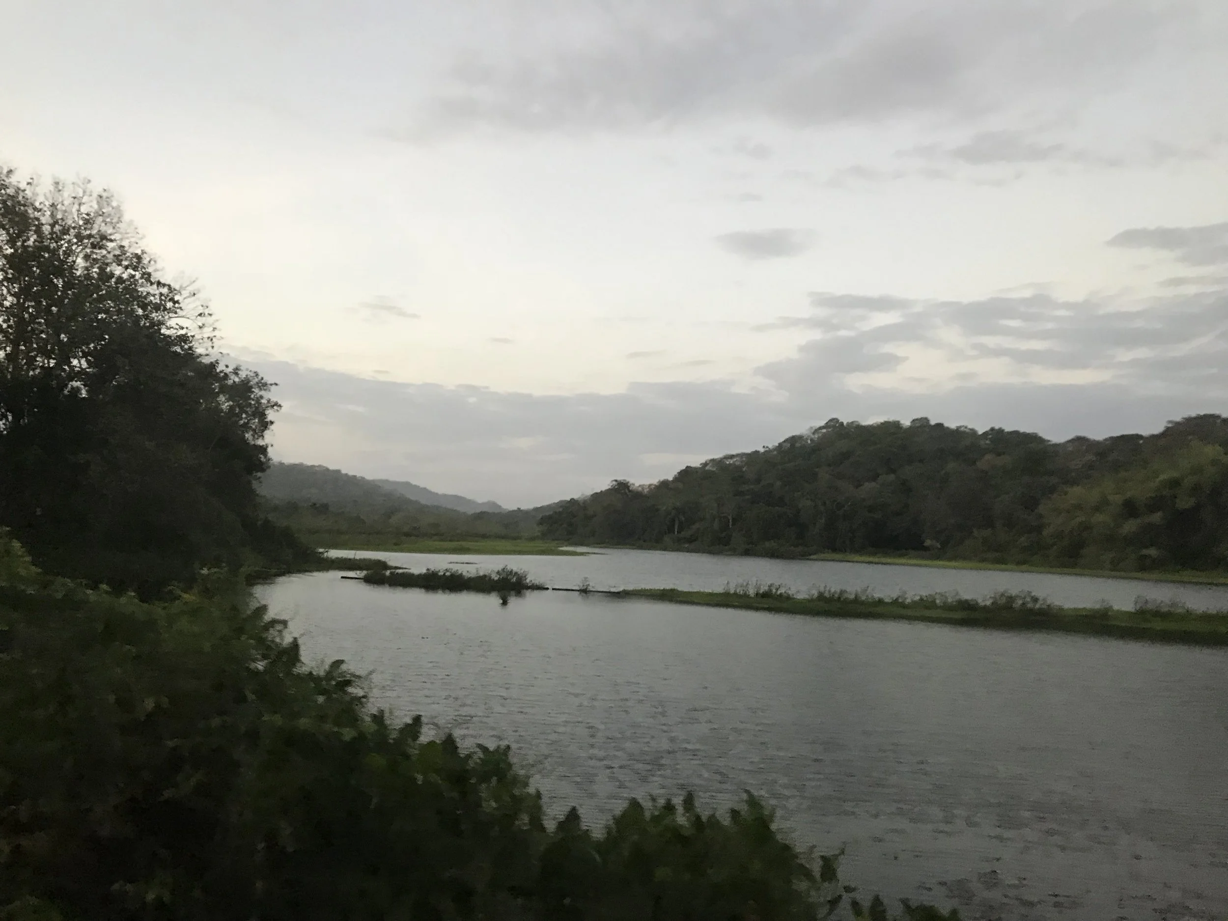 Week 3: Vegan in Panama