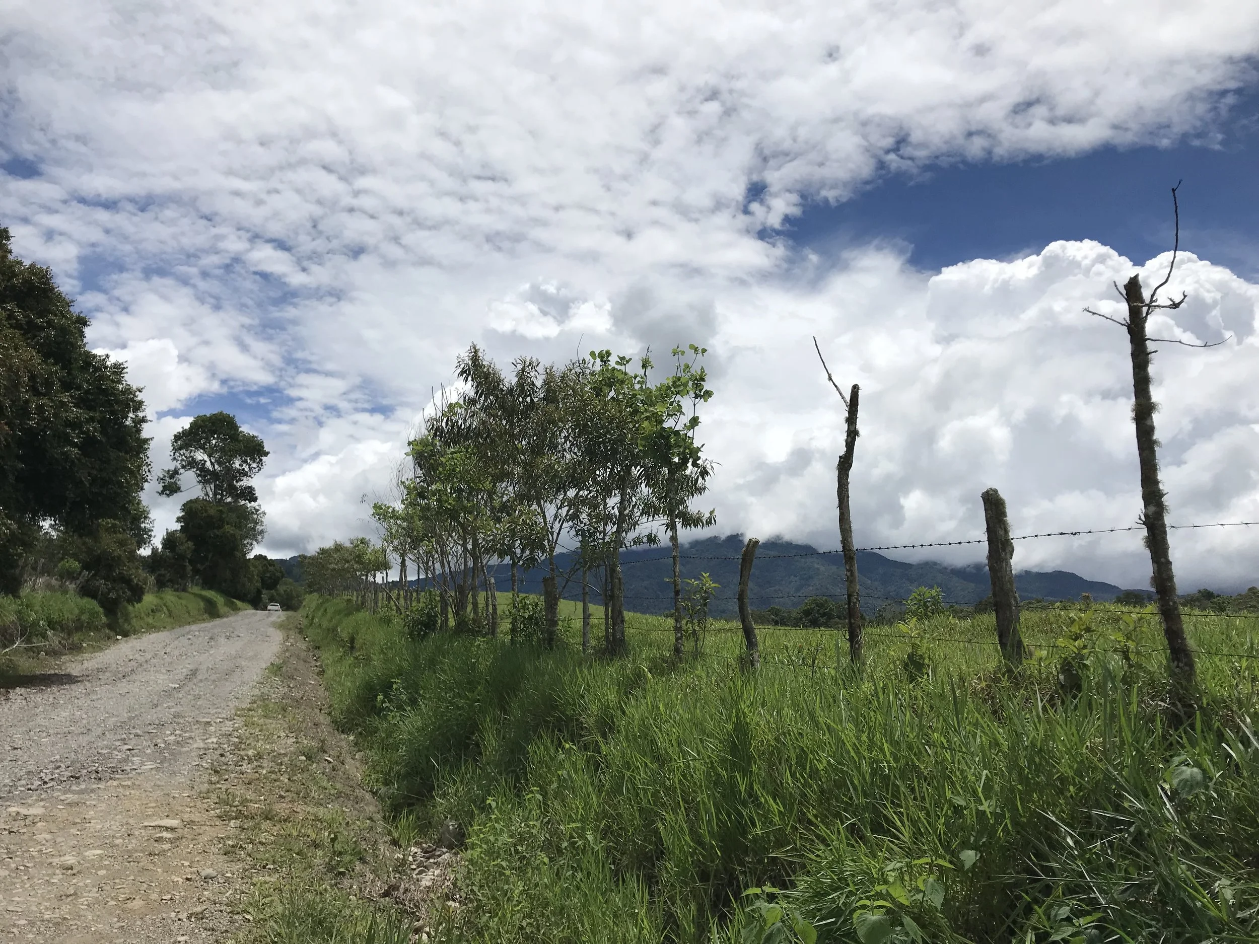 Week 12: Progress, Not Perfection