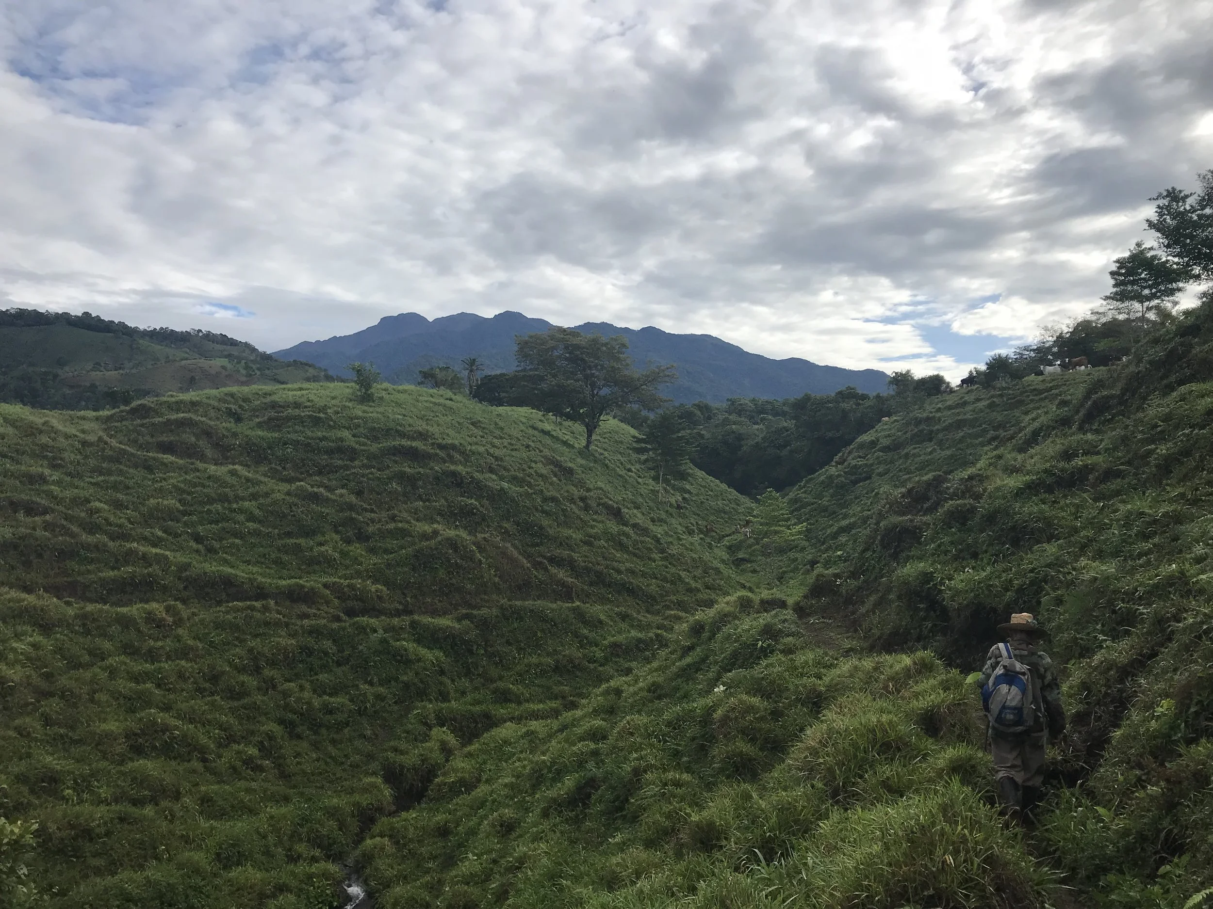 Weeks 15 & 16: Equilibrio