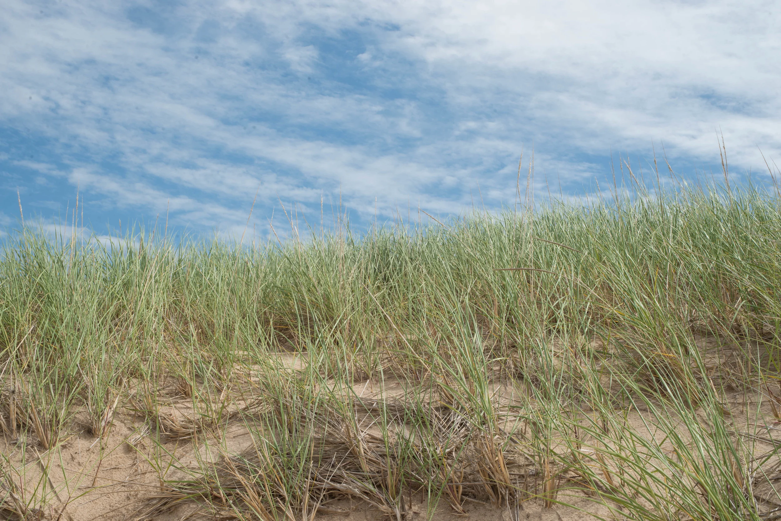 18/83: Muskegon
