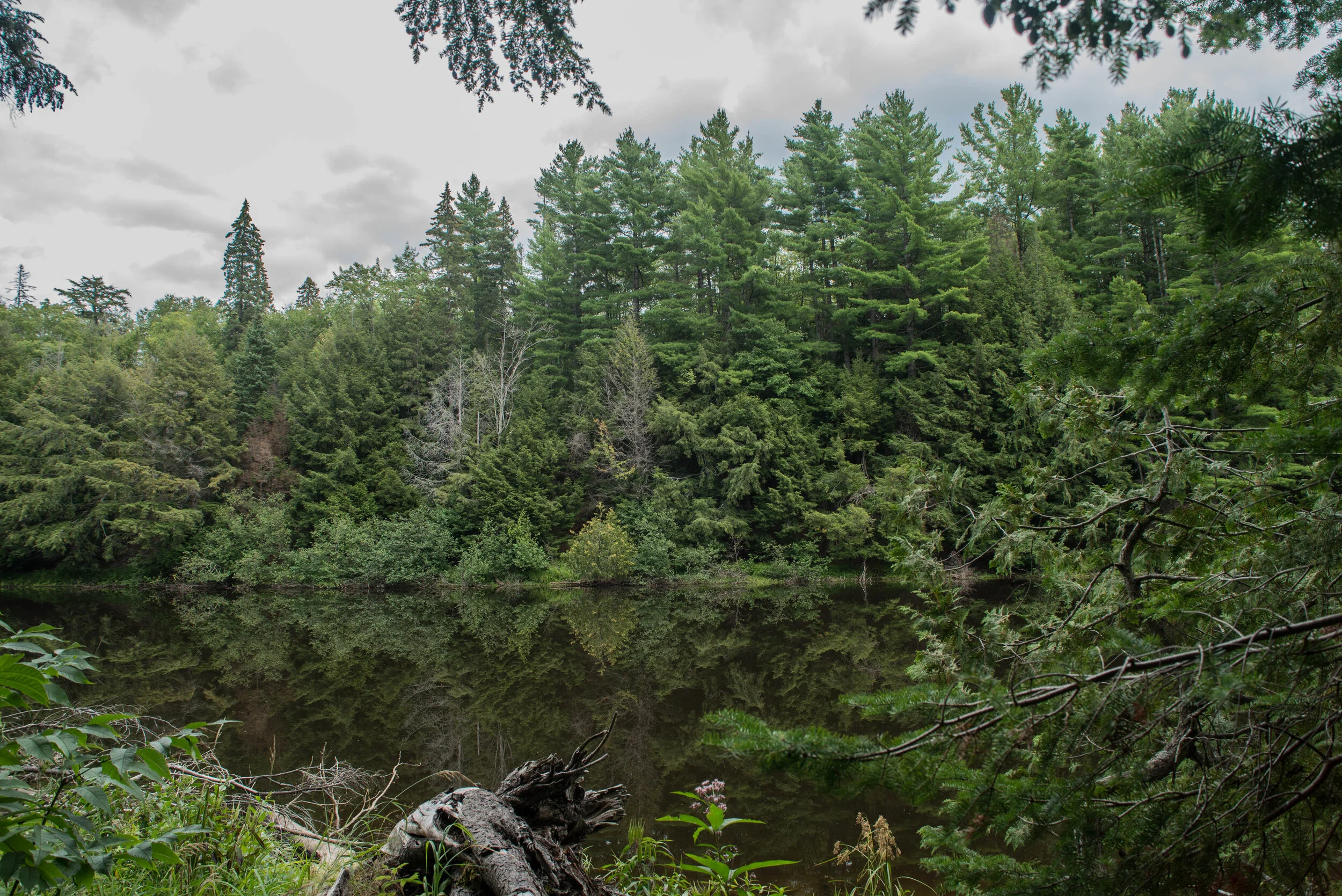 Tahquamenon Falls