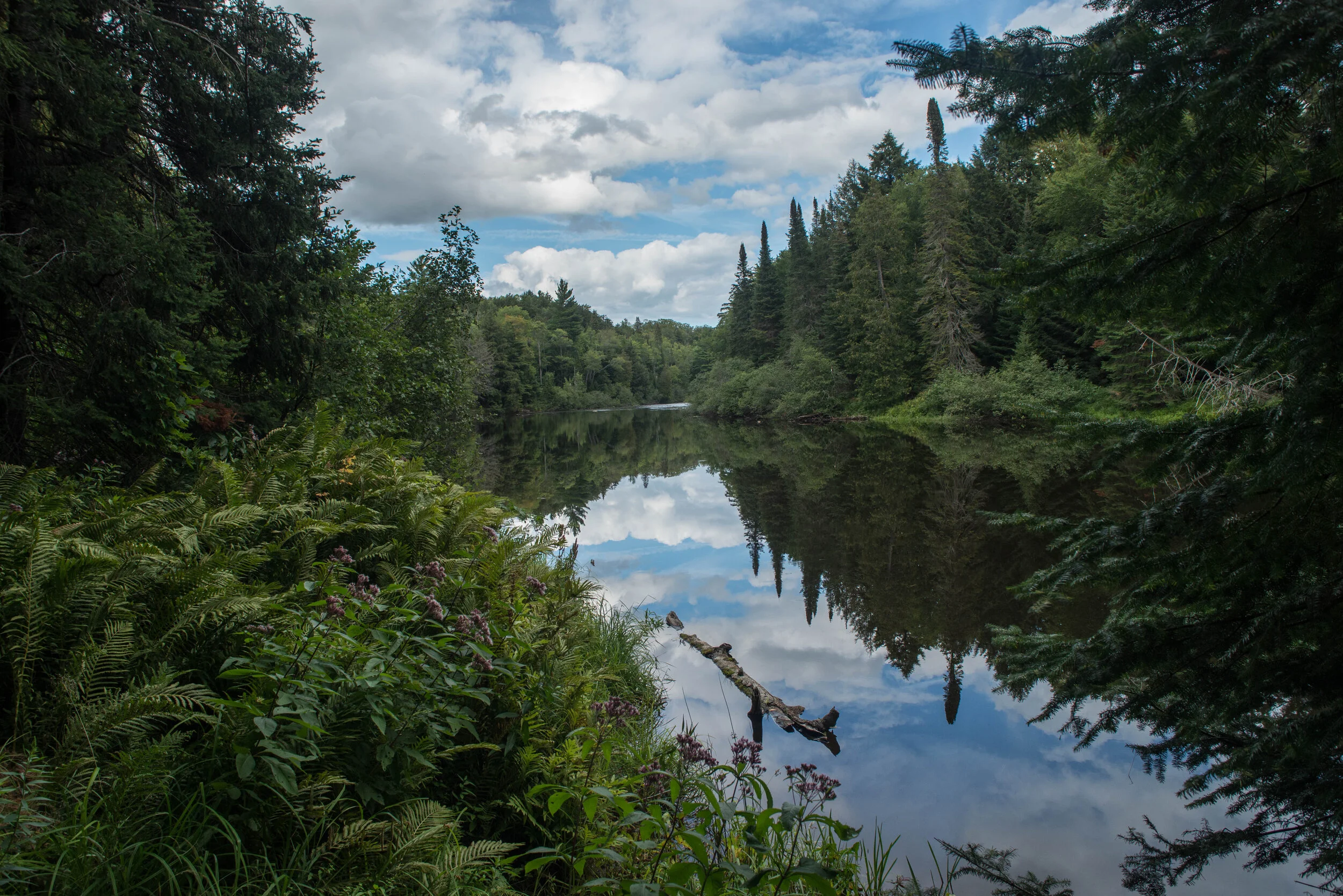 Tahquamenon Falls