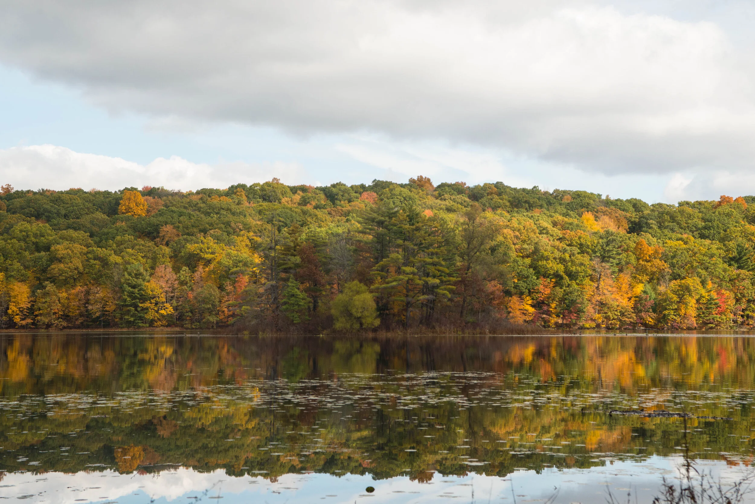 Yankee Springs Rec. Area