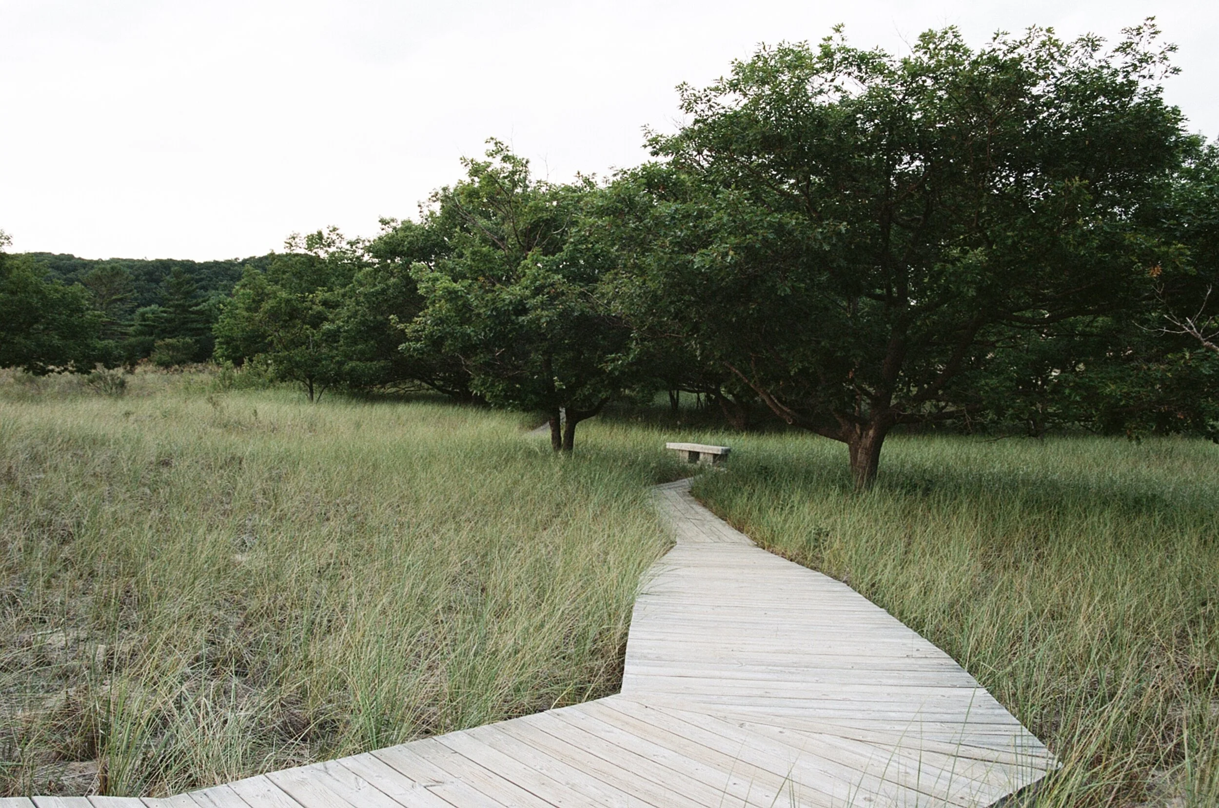 Rosy Mound Natural Area