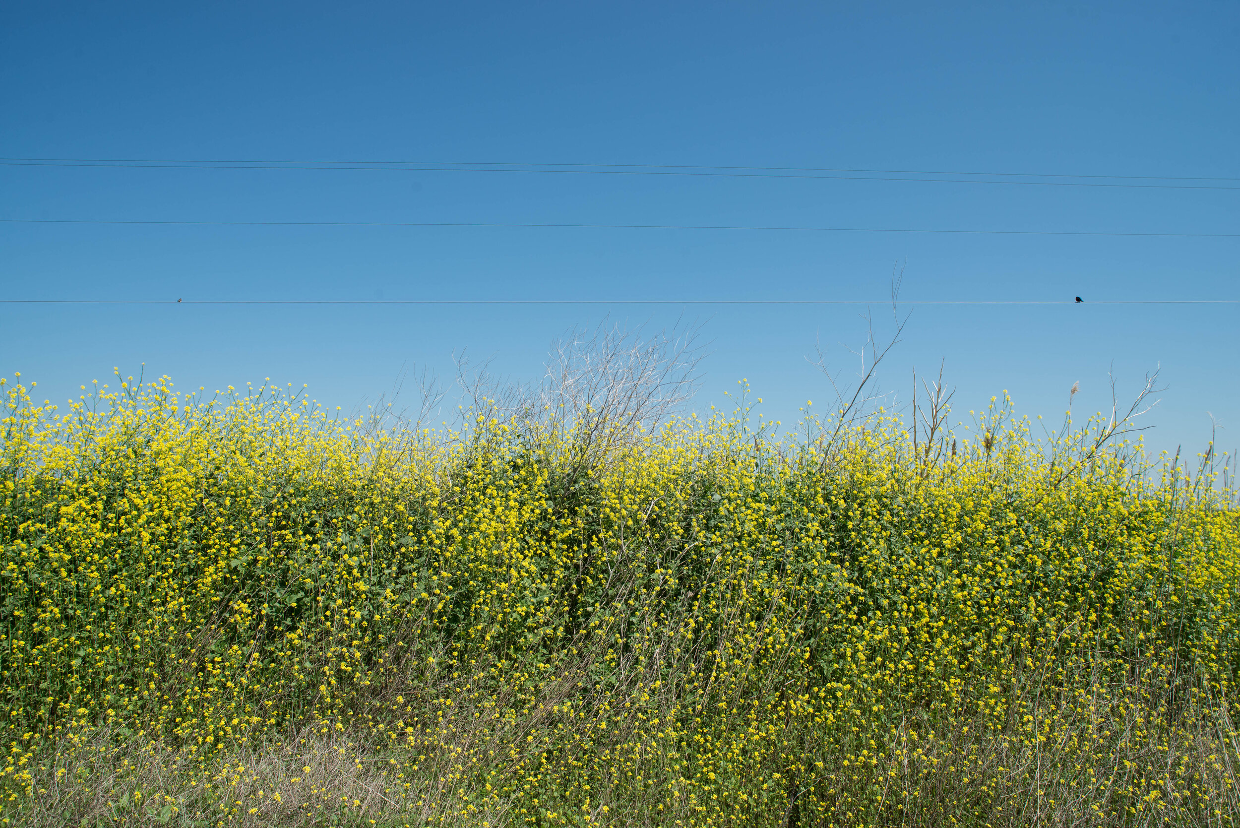 45/83: Saginaw