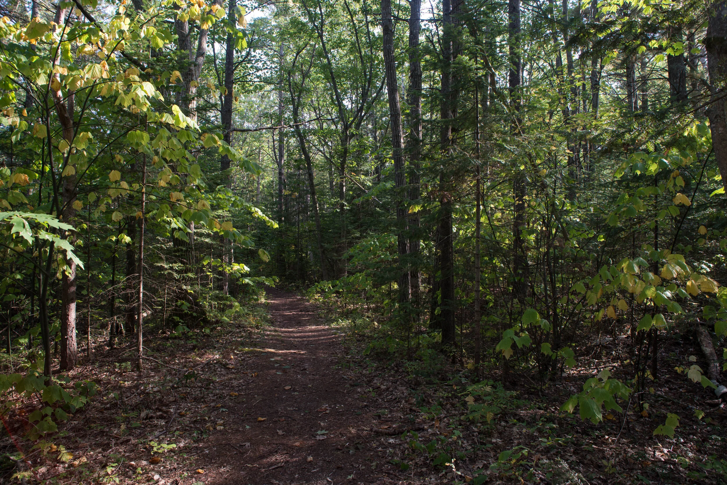 PresqueIsle-2.jpg