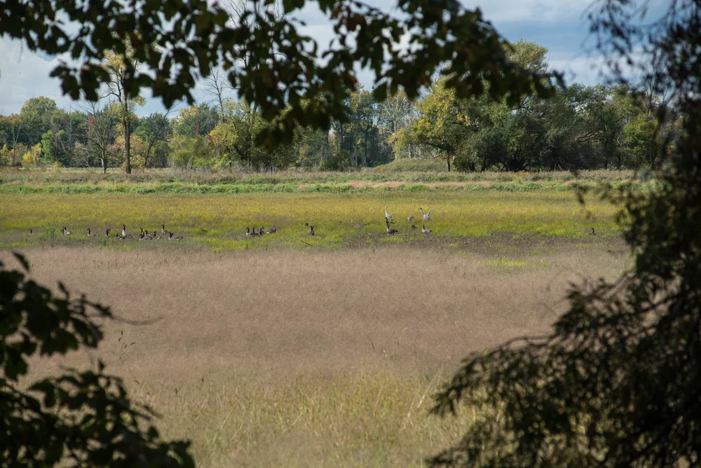 Saginaw-6.jpg