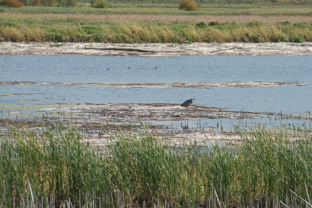 Saginaw-31.jpg