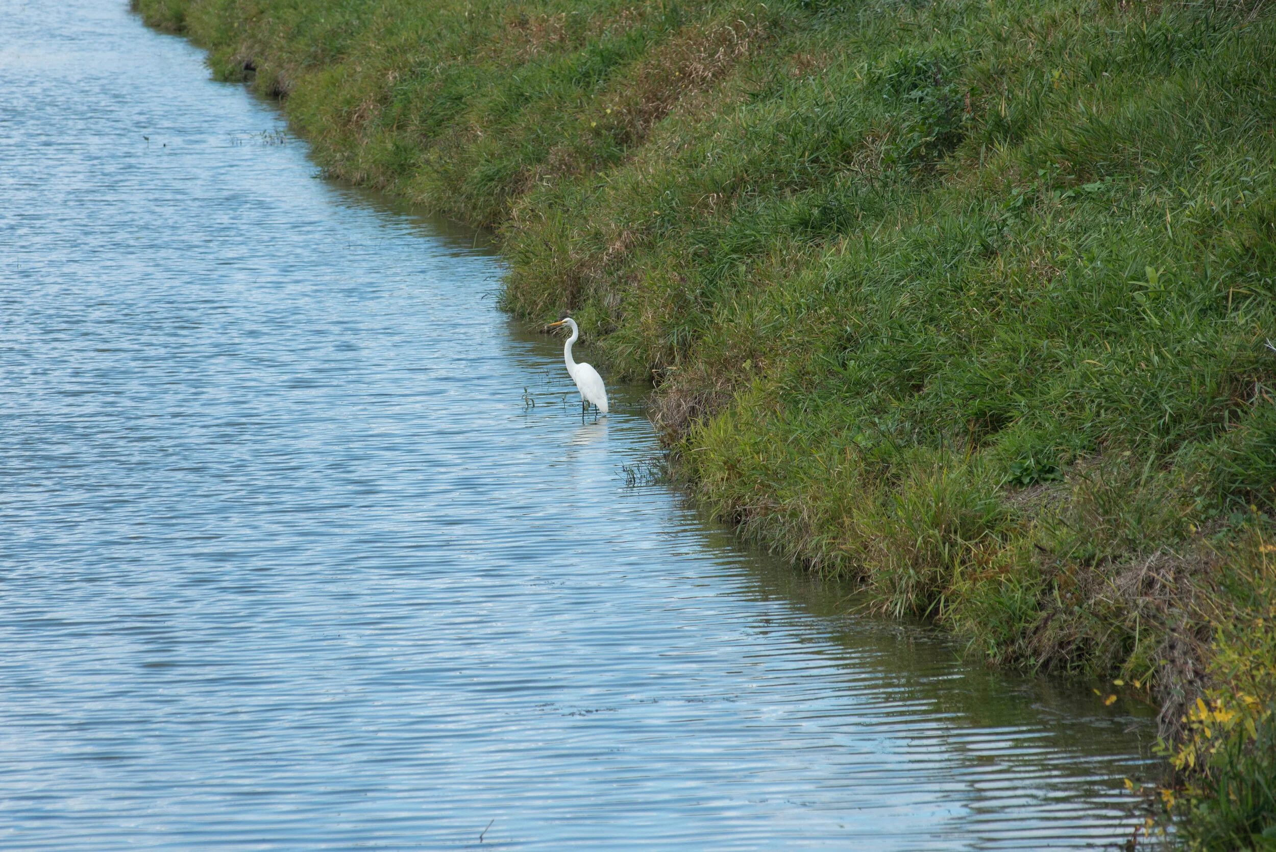 Saginaw (take 2)
