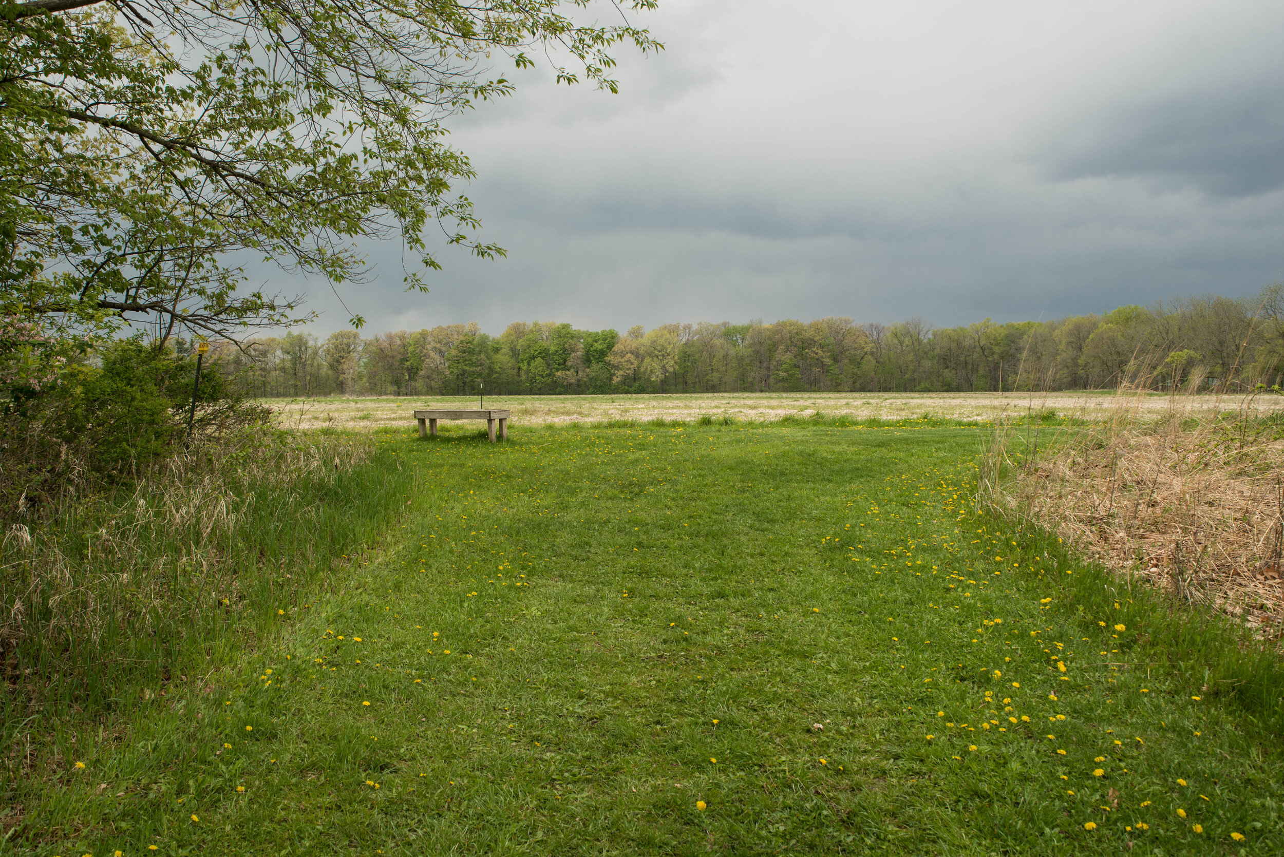 57/83: Shiawassee