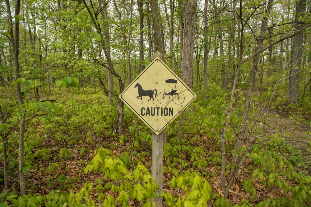 Shiawassee-10.jpg